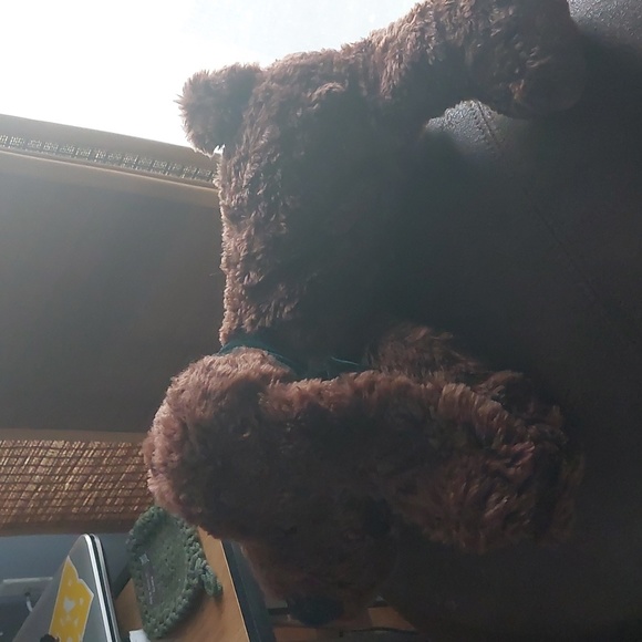 Brown dog with green bow stuffed animal - Picture 2 of 5